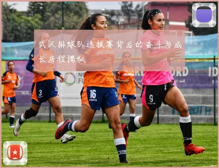 武汉排球队选拔赛背后的奋斗与成长历程揭秘